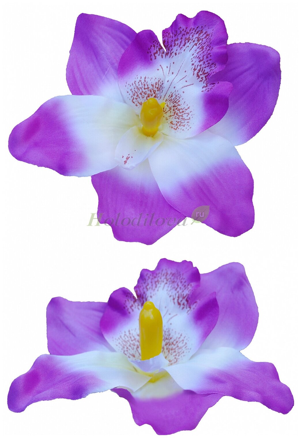 Искусственная головка орхидеи бело-сиреневая от бренда Holodilova
