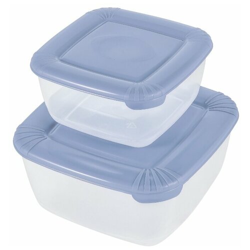 фото Набор емкостей для хранения пищевых продуктов polar квадратных 2 шт. (0,46л; 0,95л) туманно- голубой plast team