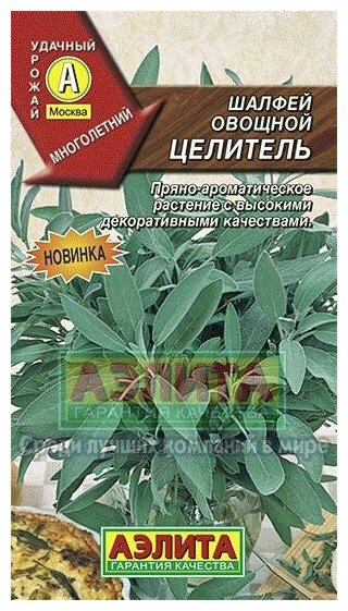 Семена. Шалфей овощной "Целитель" пряно-ароматическо-лекарственное растение