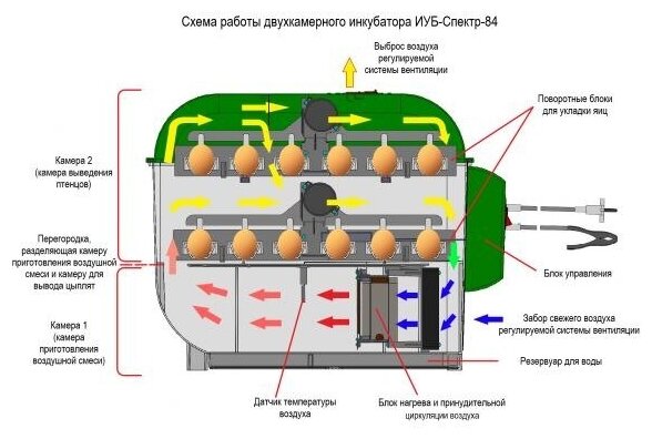 Инкубатор для яиц Спектр-84 на 84 яйца с автоматическим переворотом (220В) - фотография № 6