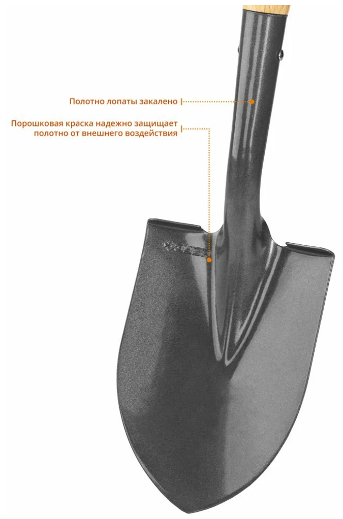 Лопата ″фаворит-а″ автомобильная, деревянный черенок, с рукояткой, ЗУБР Профессионал - фотография № 3