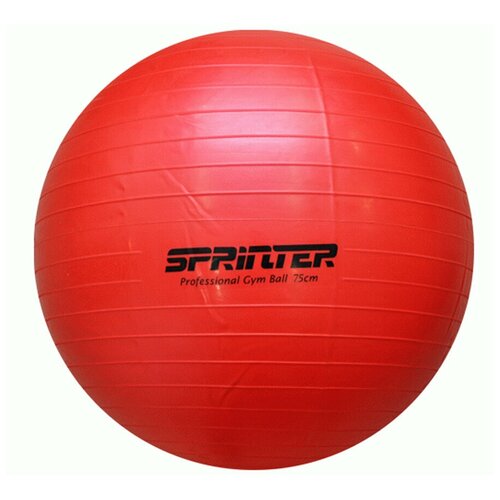 Фитбол (мяч для фитнеса) Anti-burst GYM BALL 75см (красный, матовый) мяч для фитнеса 75см 141 425i