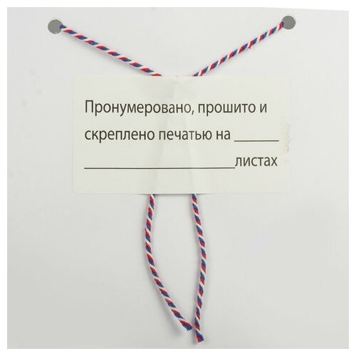 Этикетка самоклеящаяся "Пронумеровано, прошито и скреплено", 70х37 мм, 24 этикетки, 10 листов, 128833