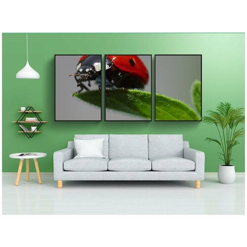 фото Набор модулных постеров для интерьера "божья коровка, жук, красный" 60x90 см. в тубусе, без рамки lotsprints
