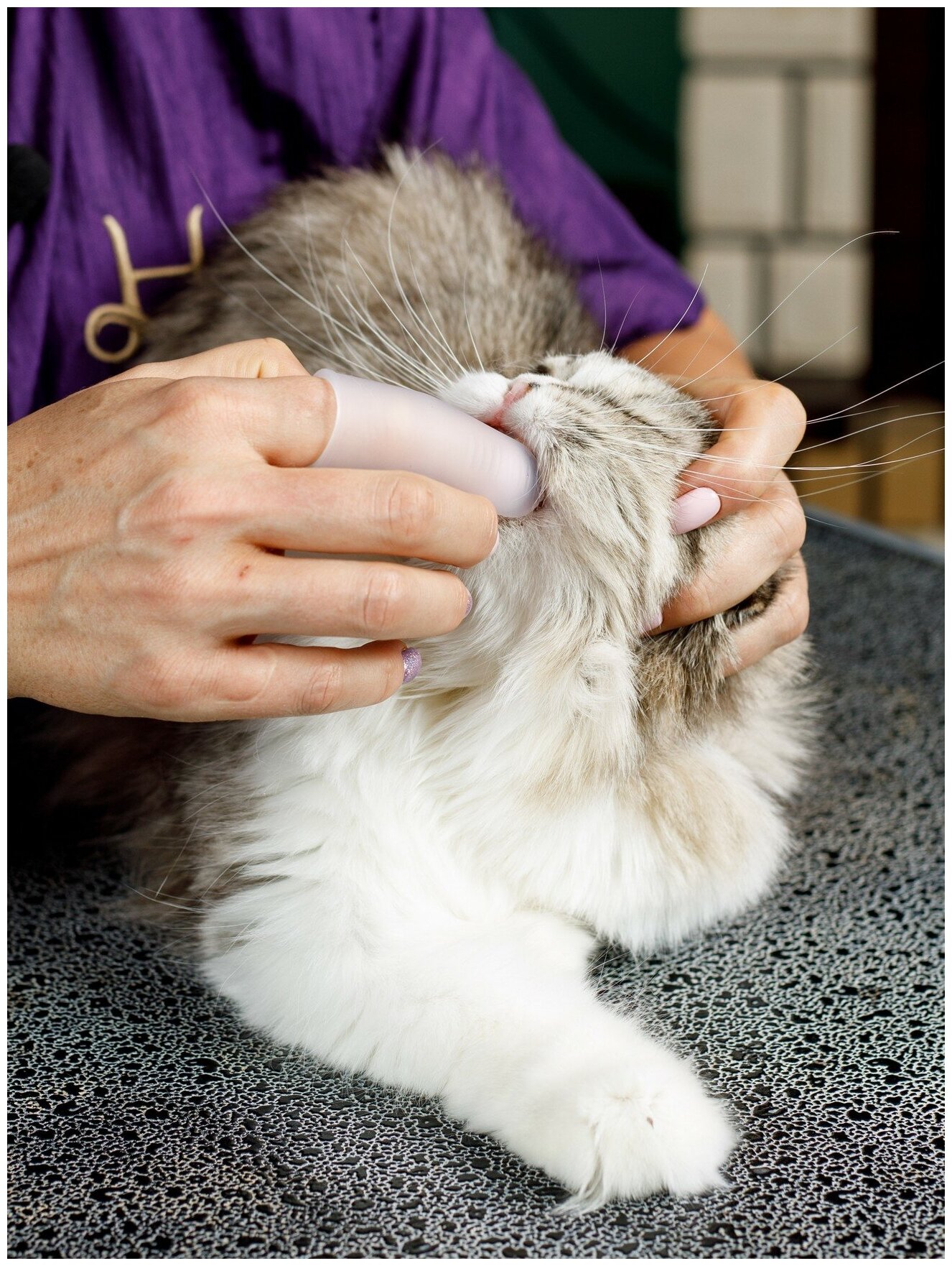 Japan Premium Pet Зубная щетка-напальчник силиконовая - фотография № 9