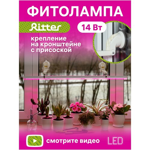 Ritter 56301 3 Светильник сд для роста растений Т5 14 Вт, 21 mol/s, провод с вилкой 2м, регулируемый .