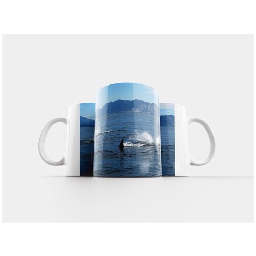 фото Кружка "косатки, рыбы, океан" 320 мл lotsprints