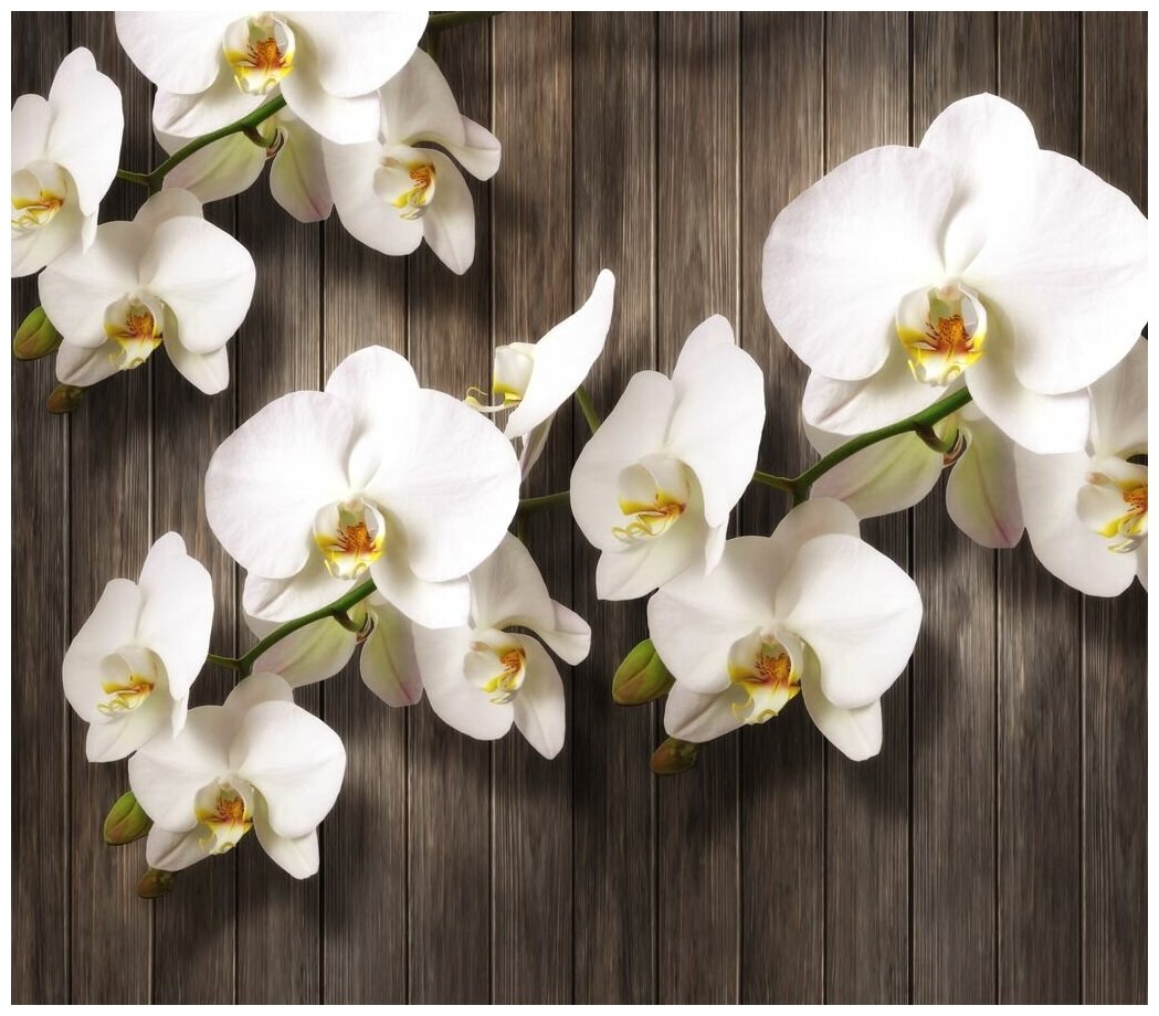 Фотообои Уютная стена "Орхидеи на деревянном фоне" 310х270 см Бесшовные Премиум (единым полотном)