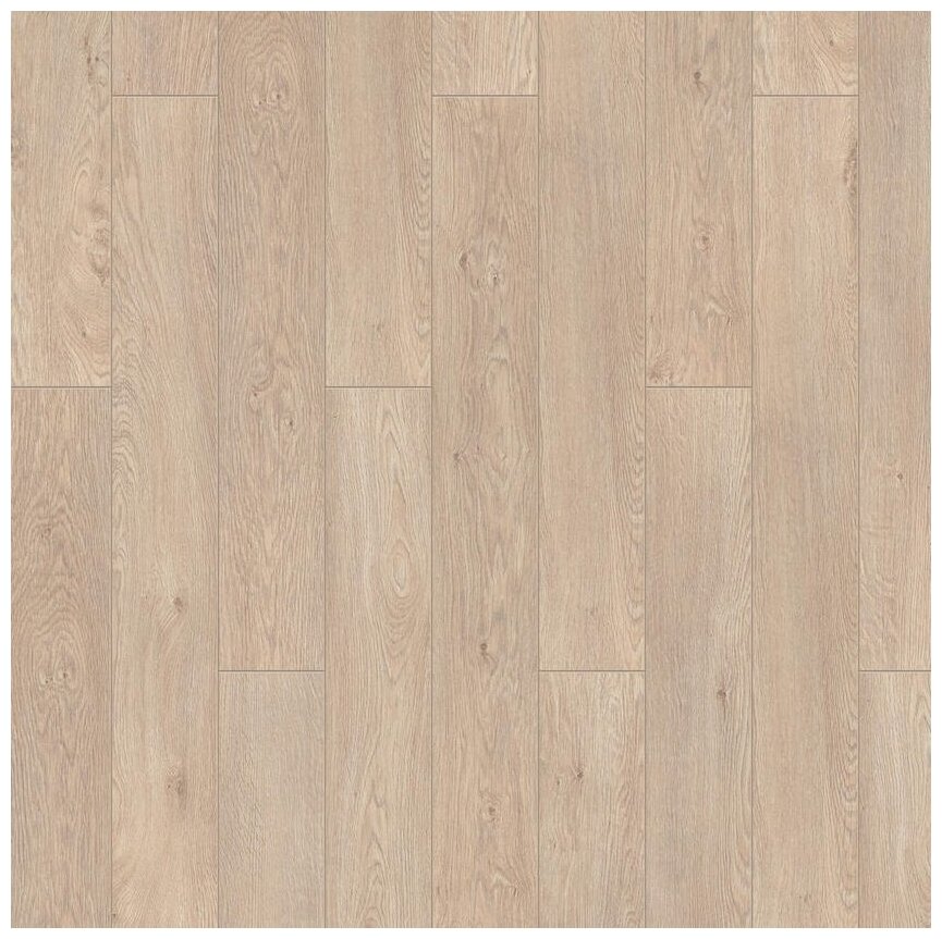 фото Ламинат Timber Lumber Дуб Морозный, Белый