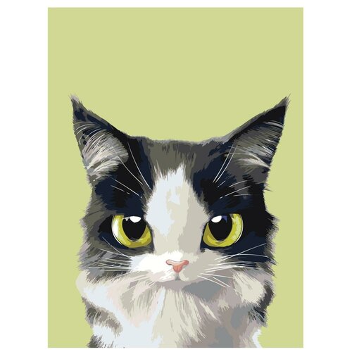 Картина по номерам, Живопись по номерам, 45 x 60, A513, маленький котёнок, большие зеленые глаза, животное, портрет, изолированный фон