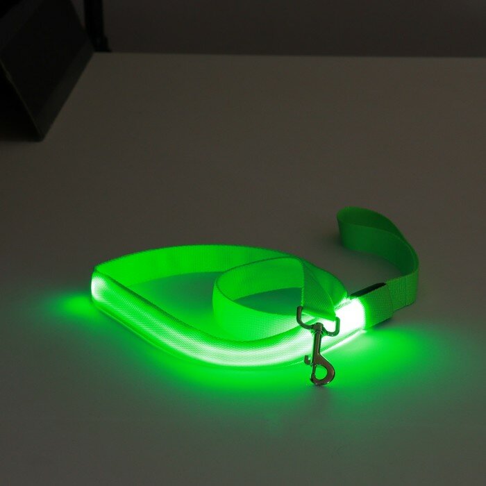 Пижон Поводок с подсветкой 3 режима свечения, 120 х 2,5 см, зелёный