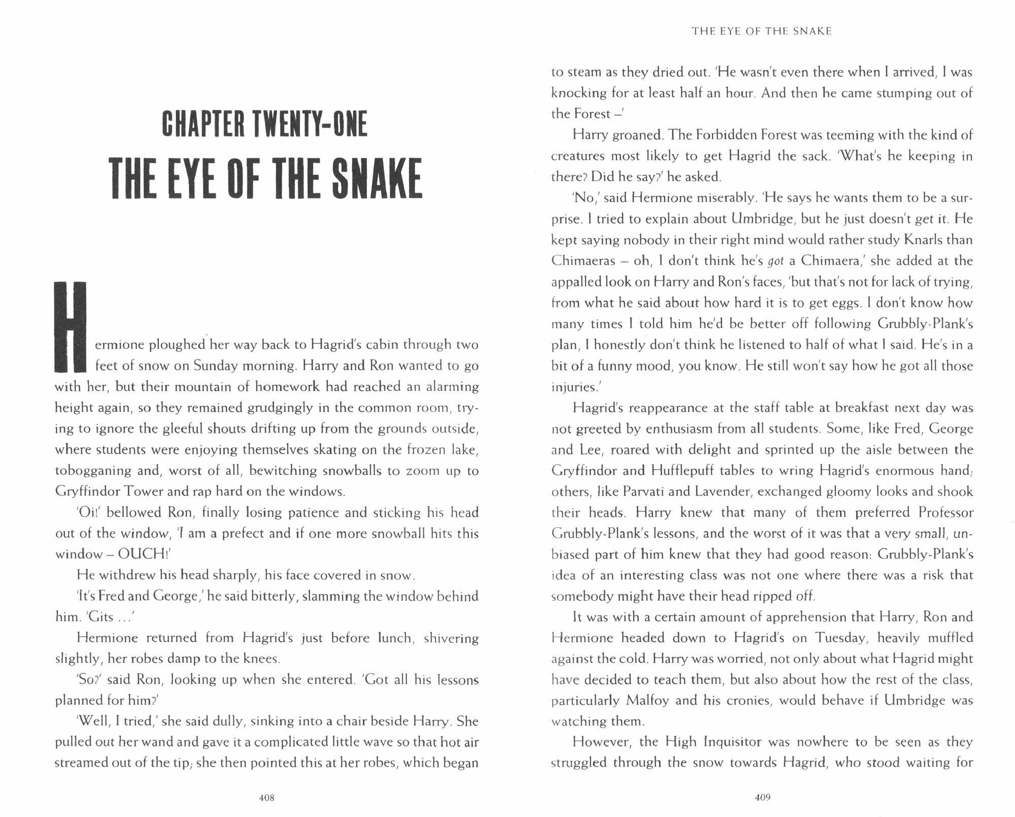 Harry Potter 5: Order of the Phoenix (new adult) - фото №7