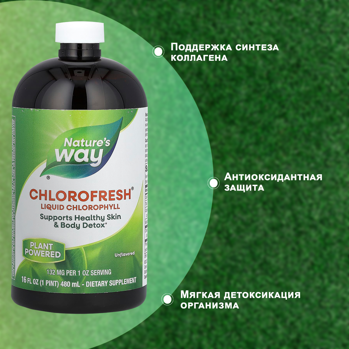Nature's Way Chlorofresh Жидкий хлорофилл неароматизированный 473 мл Жидкий хлорофилл неароматизированный — фото 1
