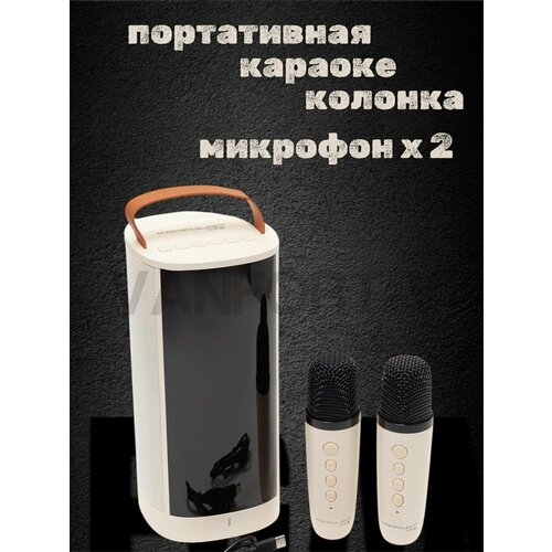 Беспроводная колонка караоке с двумя микрофонамикараоке система с двумя микрофонами портативная колонка караоке 350000₽