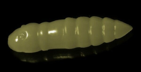 Мягкие приманки Jara Baits Trout Series MOLI MILD-25 Сыр # 711 (15шт) в банке