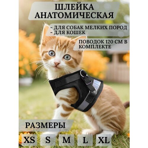 Шлейка для собак мелких пород и кошек с поводком Mirestra, черная, размер XL