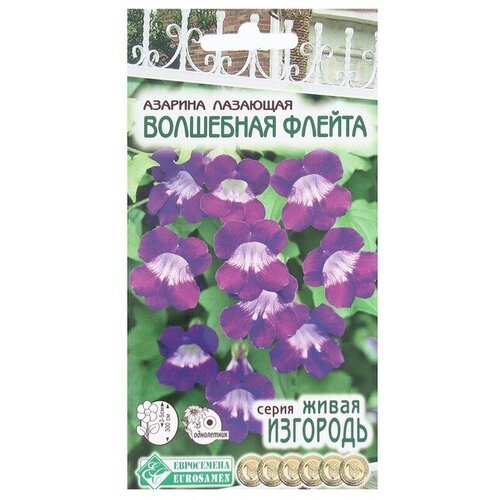 Семена Цветов Азарина лазающая Волшебная Флейта, 5 шт семена цветов азарина лазающая волшебная флейта 5 шт