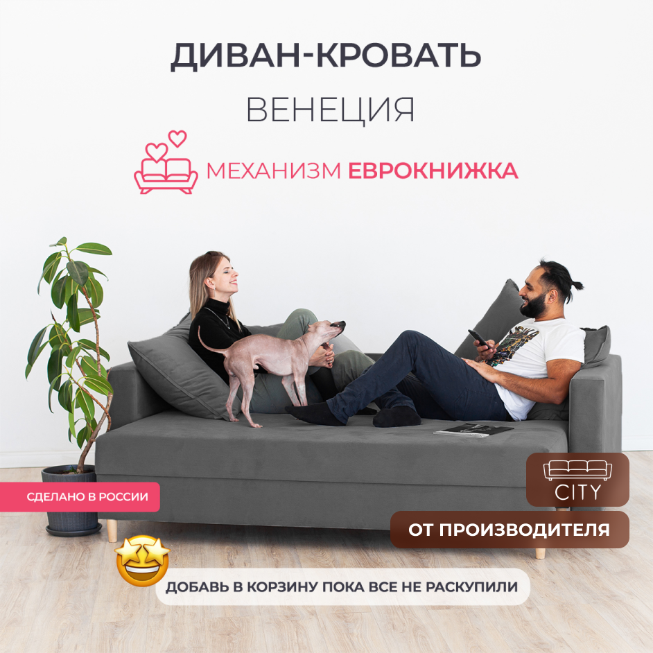 Раскладной диван кровать Венеция прямой, механизм еврокнижка, 220х96х85 см, серый, диванчик на ножках с ящиком для хранения