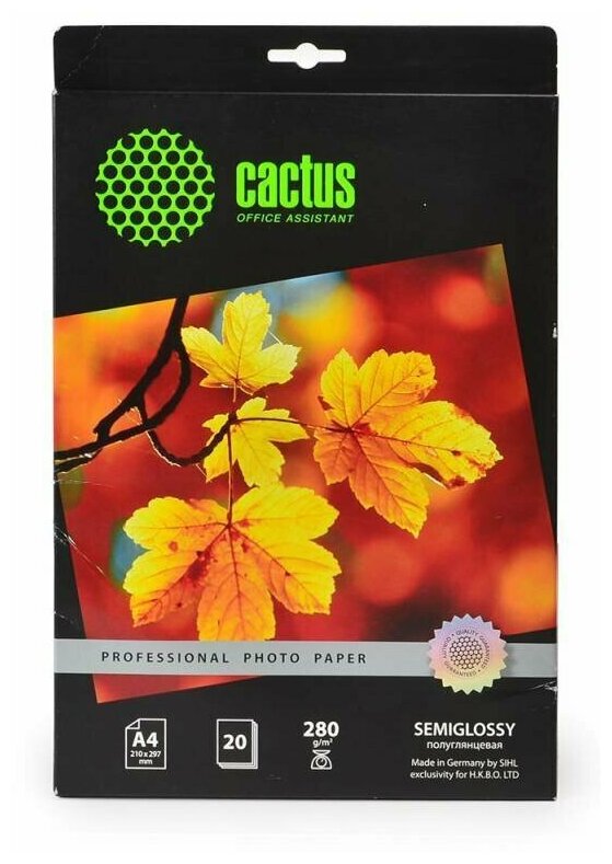 Фотобумага Cactus A4 (21x29.7 см) Полуглянцевая 280 г/м2 CS-SGA428020