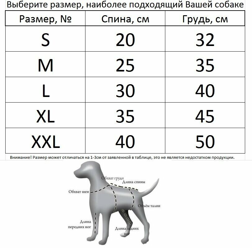 Одежда для собак. Толстовка "Тедди" (25см ) - фотография № 5