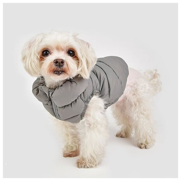 PUPPIA Жилет для собак, сверхлегкий "Vest A", серый, XL (Южная Корея) - фото №5