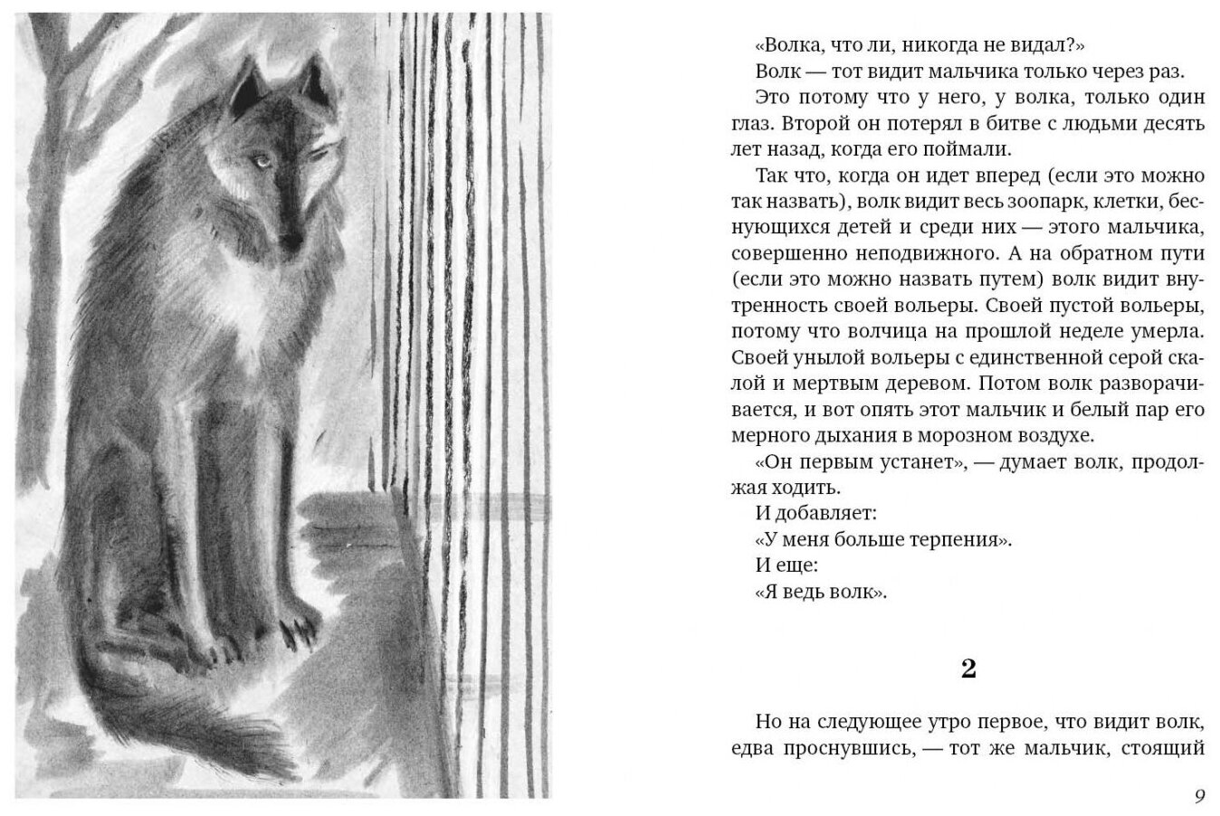 Глаз волка (Пеннак Д., Кормер Т.) - фото №16