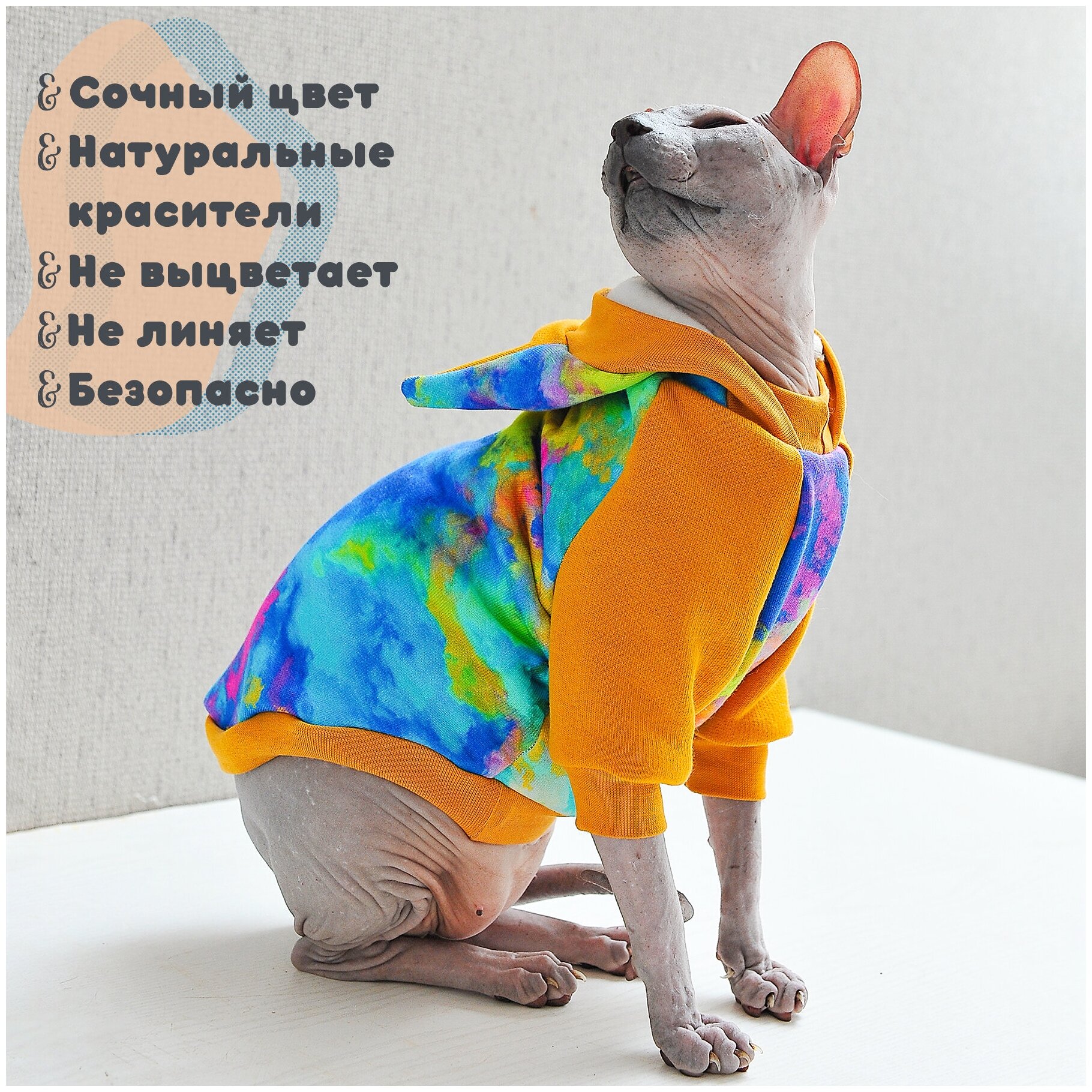 Тёплая одежда для кошек и котов - трикотажная кофта с капюшоном, худи с рисунком Фестиваль красок, подходит для сфинксов - фотография № 2