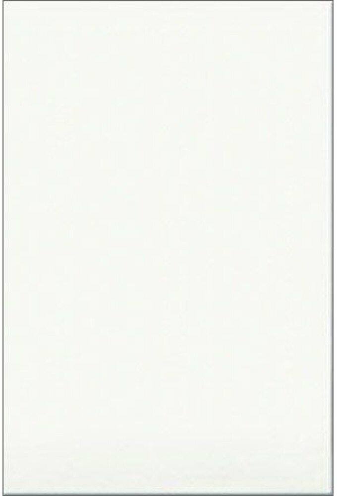 фото Плитка настенная Шахтинская плитка Белая матовая v2 20х30 см (10101003538) (1.44 м2)