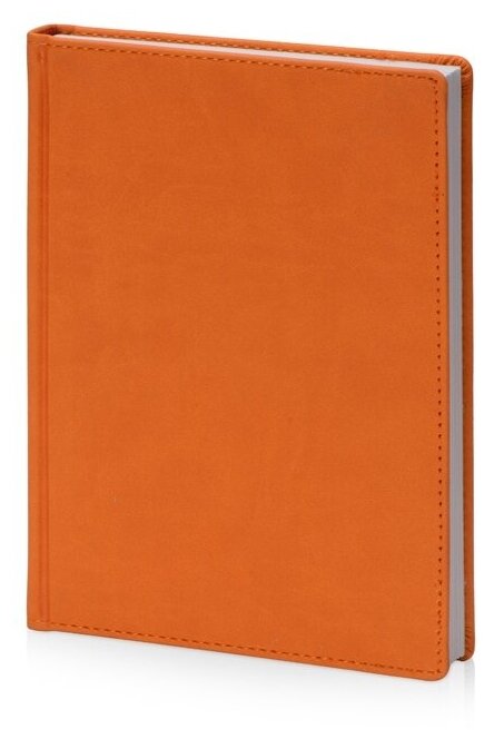 Ежедневник Альт недатированный, А5 (145 х 205 мм), оранжевый флуор, 272 стр, 