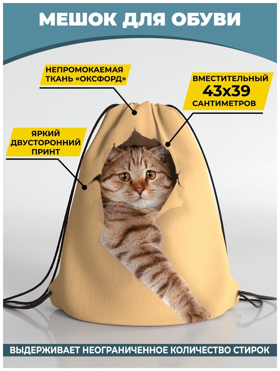 Мешок для сменной обуви Homepick 38х42м Cattiffany/913/