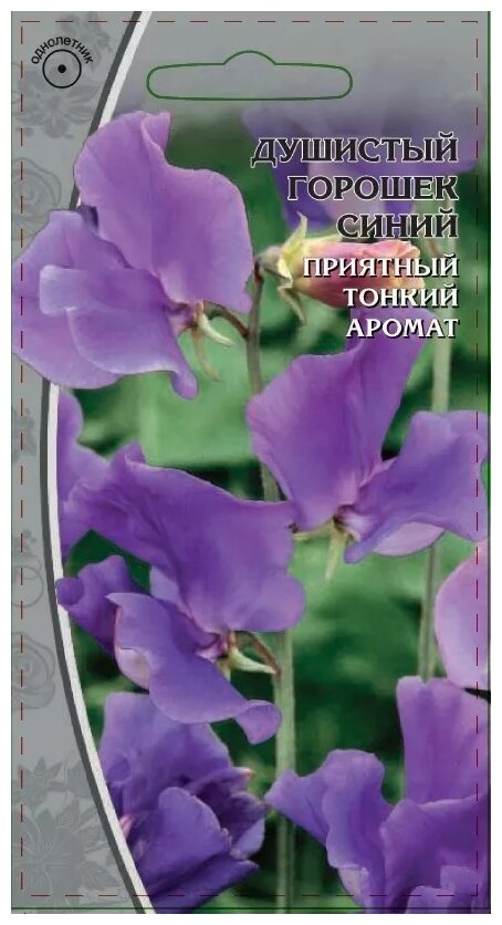 Душистый горошек Роял Фэмили