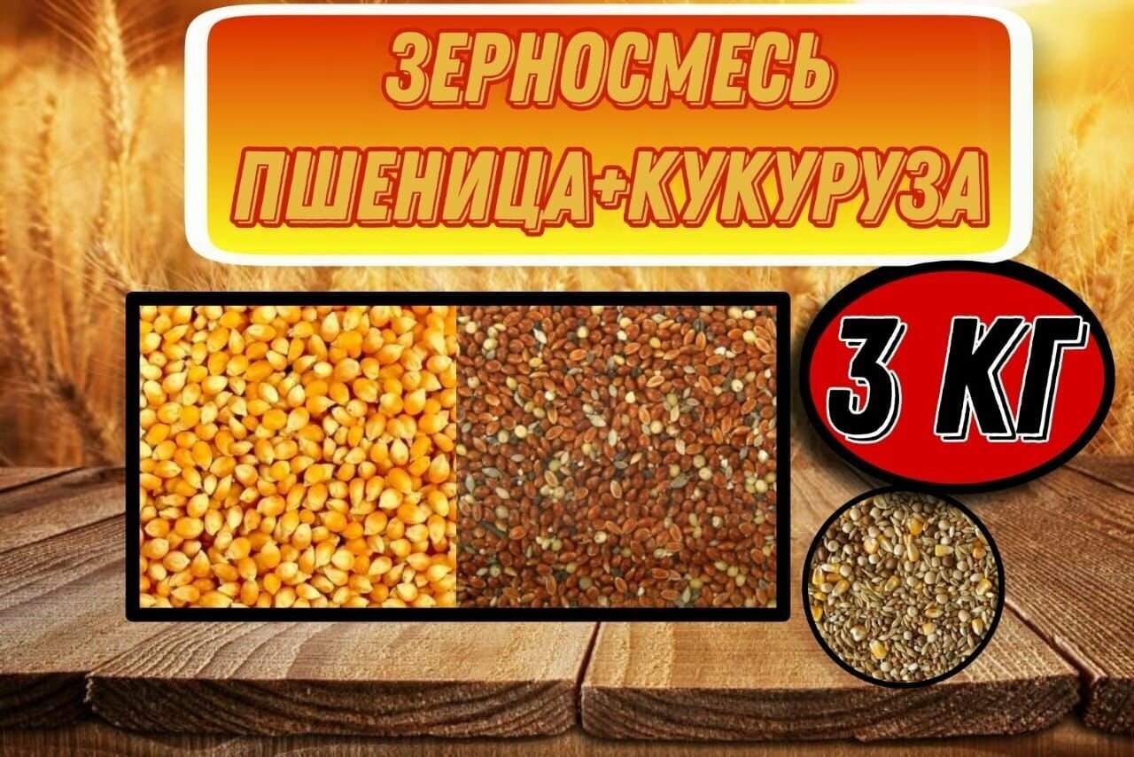 Зерносмесь Пшеница + Кукуруза 3кг - фотография № 1