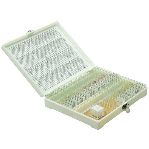 Набор готовых микропрепаратов Микромед №80 набор готовых препаратов микромед анатомия и физиология 16 образцов