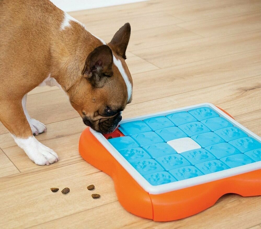 Nina Ottosson интерактивная игрушка для собак CHALLENGE SLIDER - DOG PUZZLE GAME 3 (продвинутый) уровень сложности 37 см