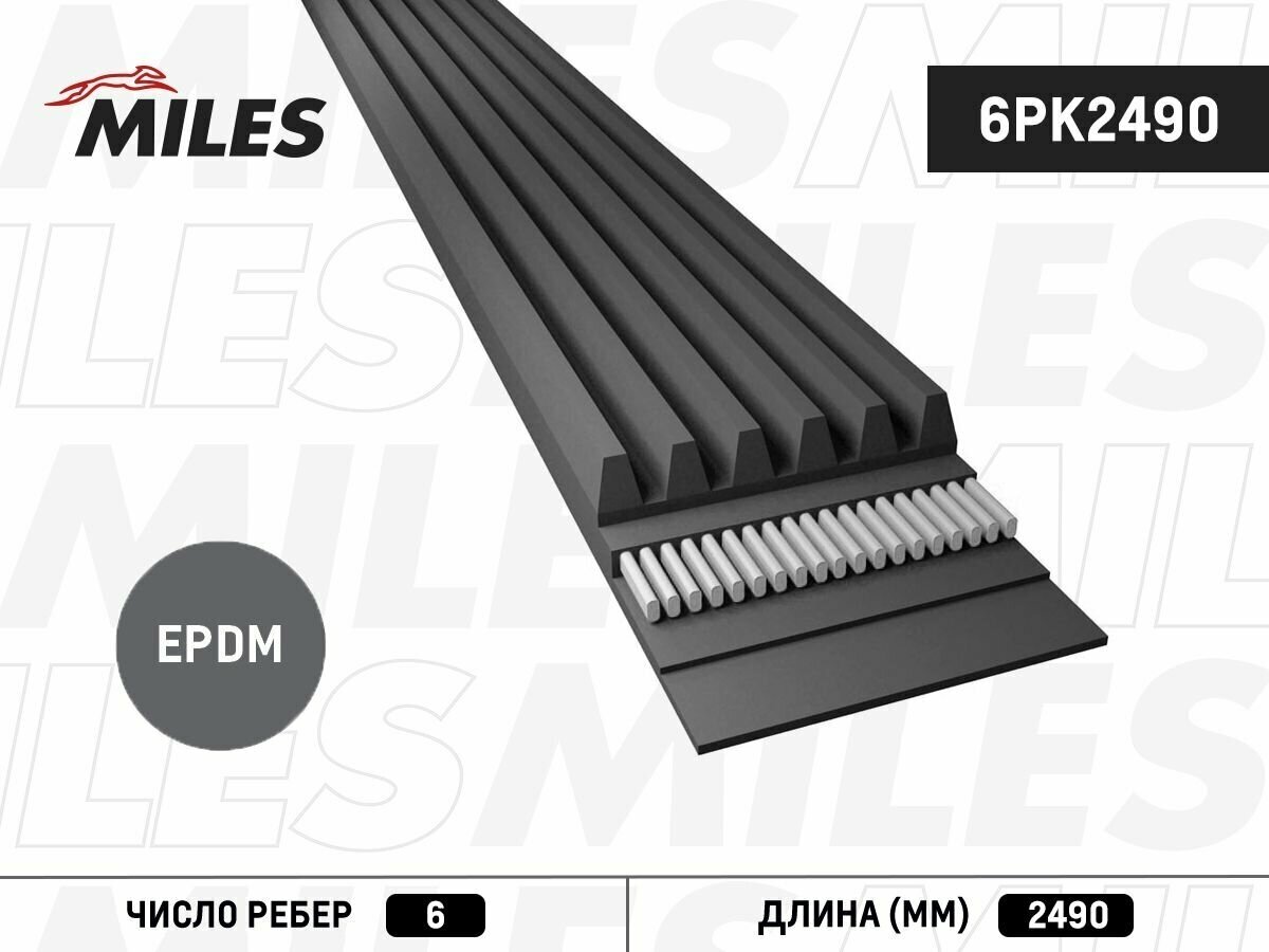 MILES Ремень поликлиновый MILES 6PK2490