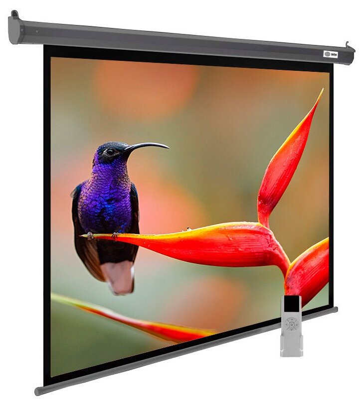 Экран Cactus 138x220см SIlverMotoExpert CS-PSSME-220X138-DG 16:10 настенно-потолочный рулонный тёмно-серый (мот