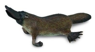 Фигурка Collecta Утконос, М 88795b