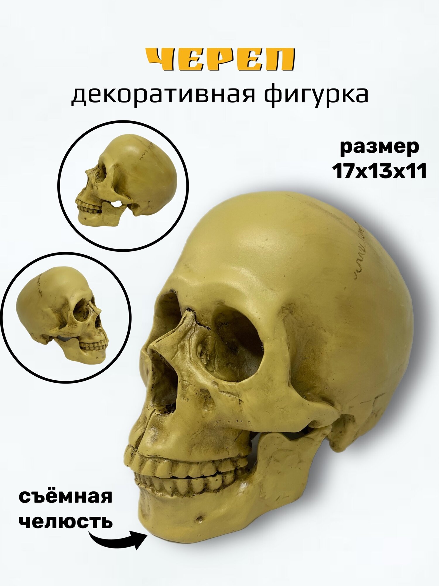 Декоративная статуэтка Череп со съемной челюстью