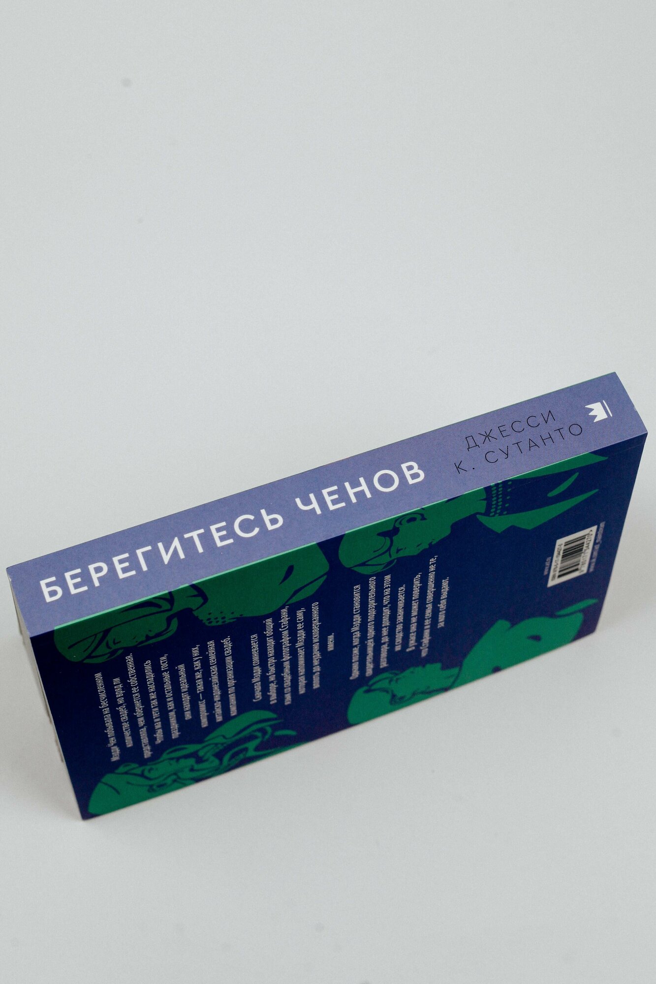 Берегитесь Ченов (Джесси К. Сутанто) - фото №10