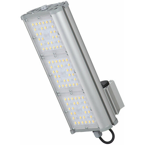 Уличный консольный прожектор Светон Галеон 31-65-Г-60-ПТ/0/0-5К80-К67 CB-C0325041