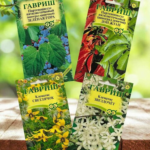 Семена лианы Клематис и Партеноциссус набор 4 упаковки