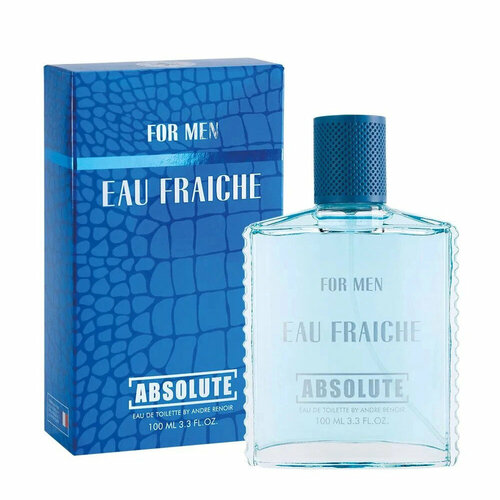 Delta Parfum Absolute Eau Fraiche туалетная вода 100 мл для мужчин delta parfum today parfum absolute blue label туалетная вода 100 мл для мужчин