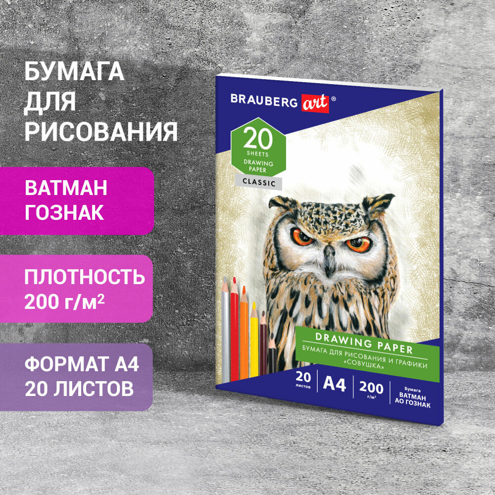 Бумага для рисования и графики в папке А4, 20 л, 200 г/м2, ватман гознак, BRAUBERG ART CLASSIC, 114492 упаковка 4 шт.