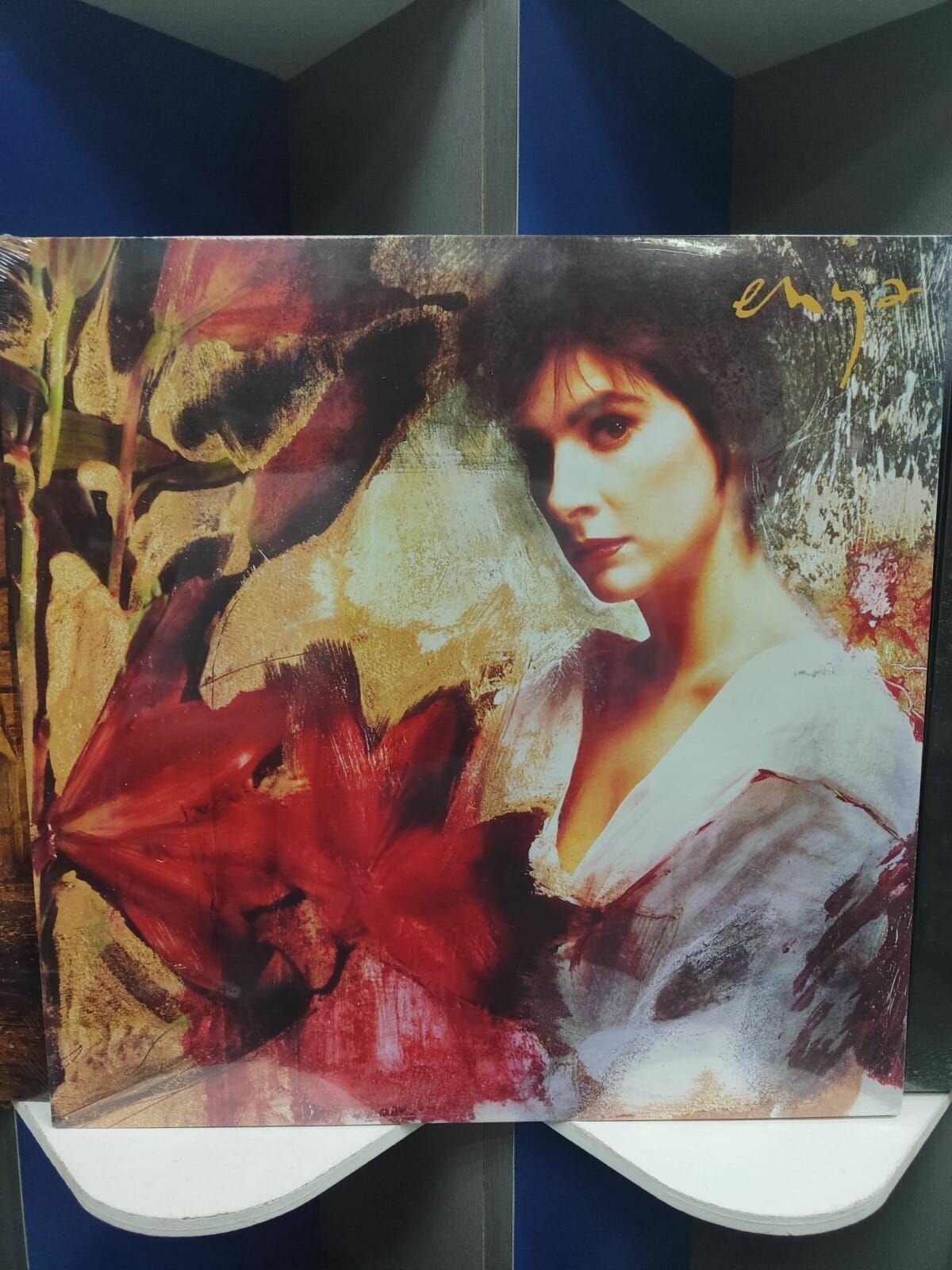 Виниловая пластинка Enya, Watermark (0022924387517) Warner Music - фото №8