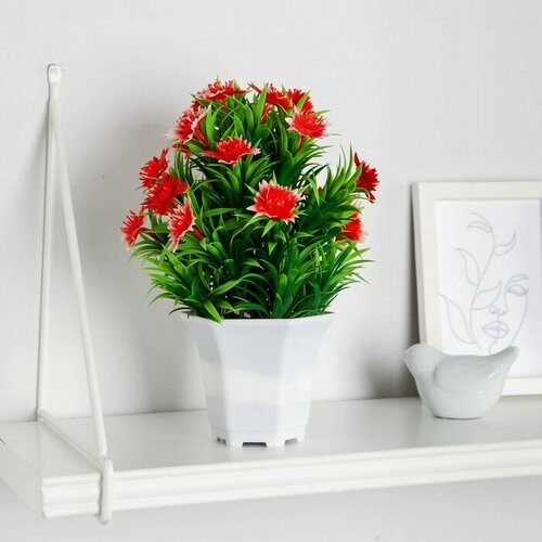 SUI Бонсай в горшке 