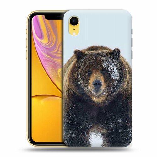 Дизайнерский силиконовый чехол для Iphone Xr Медведь дизайнерский пластиковый чехол для iphone xr кожа змей