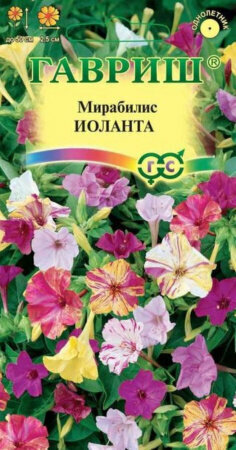 Семена Мирабилис Иоланта 1г Одн 50см (Гавриш)