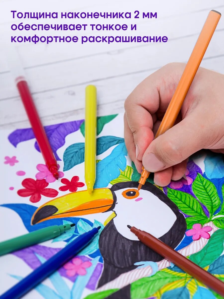 Фломастеры Berlingo для рисования 24 цвета, смываемые для школы — фото 1