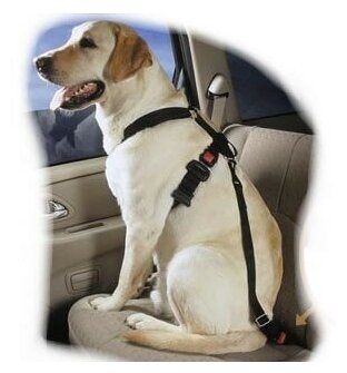 Ремень безопасности для собак в машине Wahl car safety harnless S/M 2999-7290 - фотография № 8