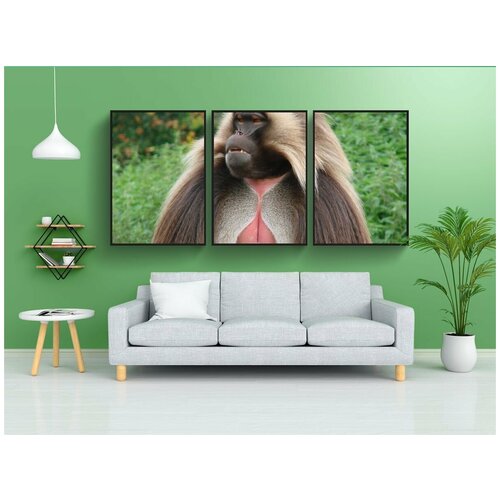 фото Набор модулных постеров для интерьера "челада, обезьяна, дикое животное" 60x90 см. в тубусе, без рамки lotsprints